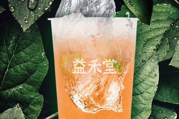 茉莉奶白奶茶加盟费